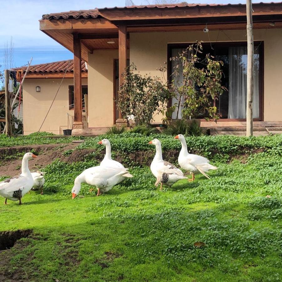 Alojamiento Los Nogales Santa Cruz Exterior photo